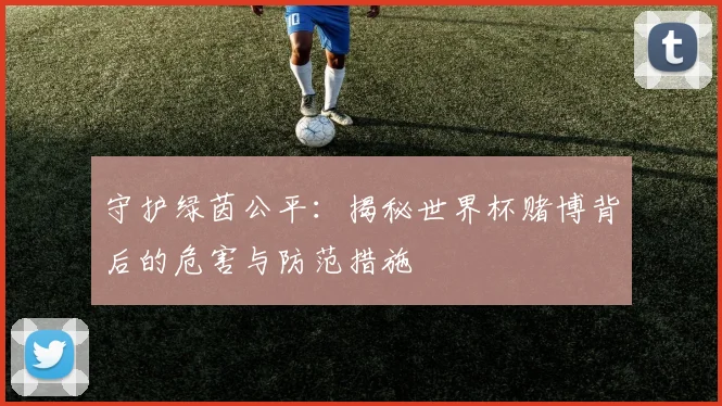 守护绿茵公平：揭秘世界杯赌博背后的危害与防范措施