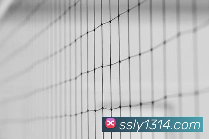 App Interface Preview