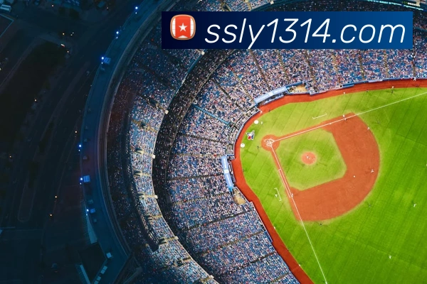 开体育app官网下载最新版APP 封面图